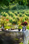 Dukat bord utomhus med vin, glas, mat och en blomsterbukett mot en grön bakgrund.
