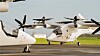 Två vita elflyg står på en flygplatsbanan.