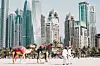 Två kameler leds på en strand i Dubai med höga skyskrapor och palmer i bakgrunden.